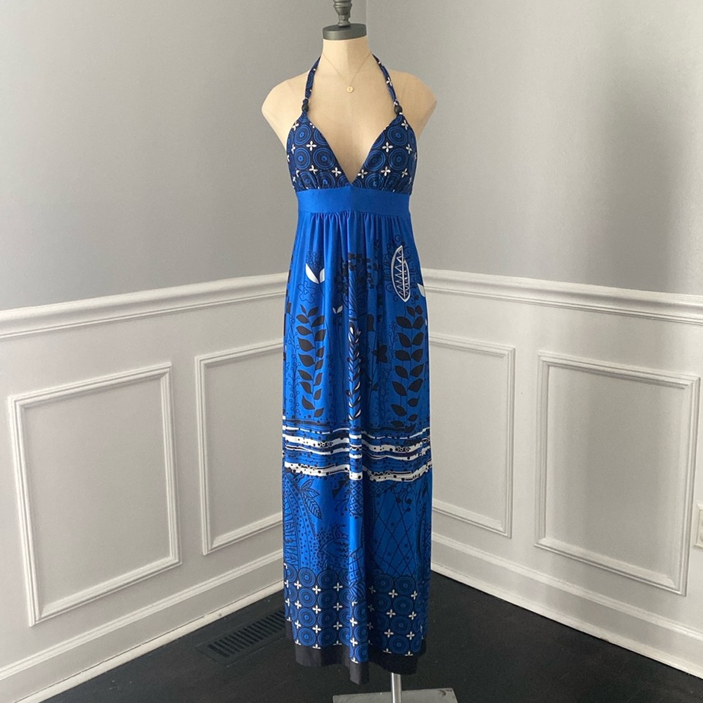 Alyn Paige Halter Maxi Dress